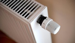 Czekają nas zimne kaloryfery? "Ciepłownictwo jest w trudnej sytuacji. Firmy będą bankrutować"