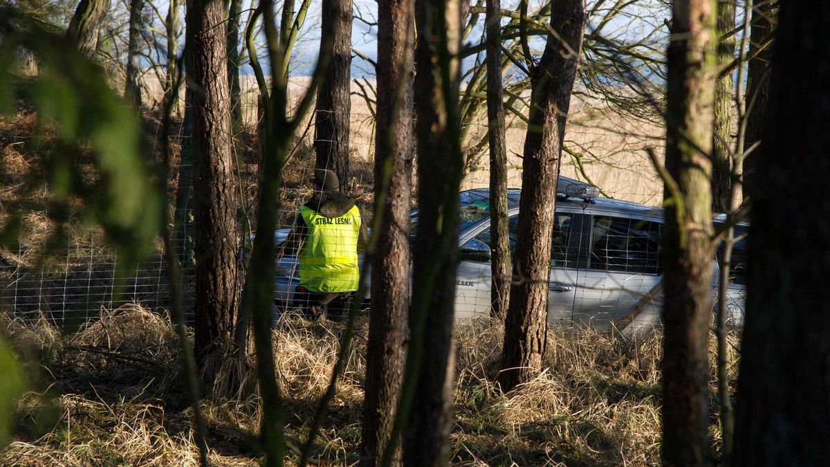 Wycinka drzew pod budow? Przekopu przez Mierzej? Wi?lan?
16.02.2019 Nowy Swiat Budowa przekopu przez Mierzeje Wislana Wycinka drzew Fot. Wojciech Strozyk/REPORTER
Wojciech Strozyk/REPORTER