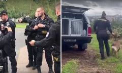 Czechy: udawała martwą, by przeżyć. Brutalny gwałt na 15-latce