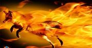 Najlepsze rozszerzenia, które ułatwią nawigację w Firefoksie
