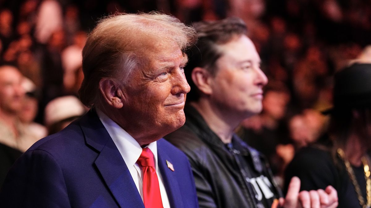 NEW YORK, NEW YORK - NOVEMBER 16: President-elect Donald Trump looks on during the UFC 309 event at Madison Square Garden on November 16, 2024 in New York City. (Photo by Chris Unger/Zuffa LLC)