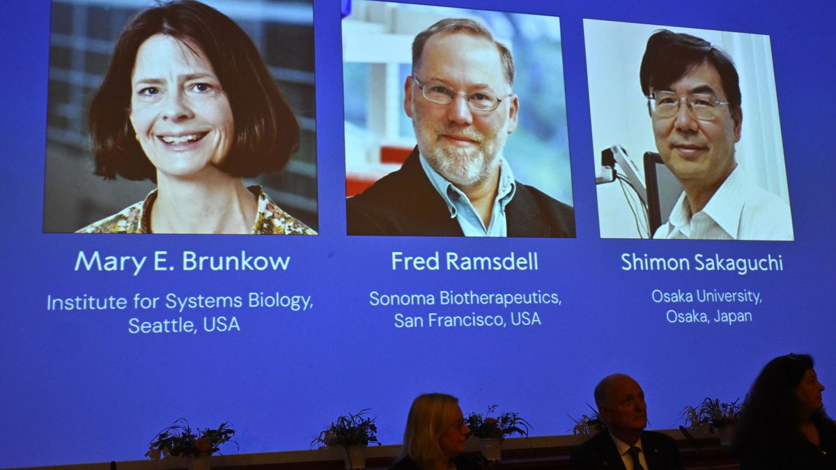 Nobel z medycyny przyznany