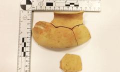 Hrebenne. Przemyt blisko 500 zabytków archeologicznych