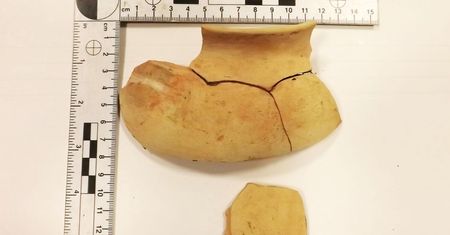 Hrebenne. Przemyt blisko 500 zabytków archeologicznych