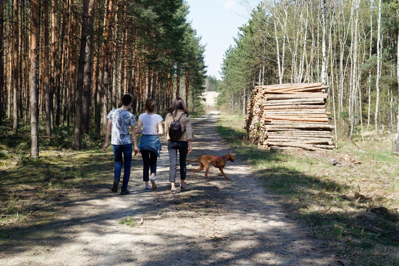 Już nie 10 tys. kroków dziennie. Nowe badania wywracają zalecenia