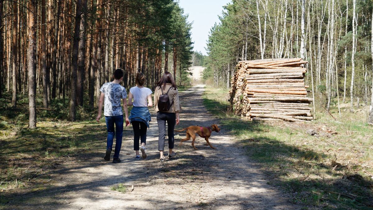 10 minut po posiłku może pomóc obniżyć cukier