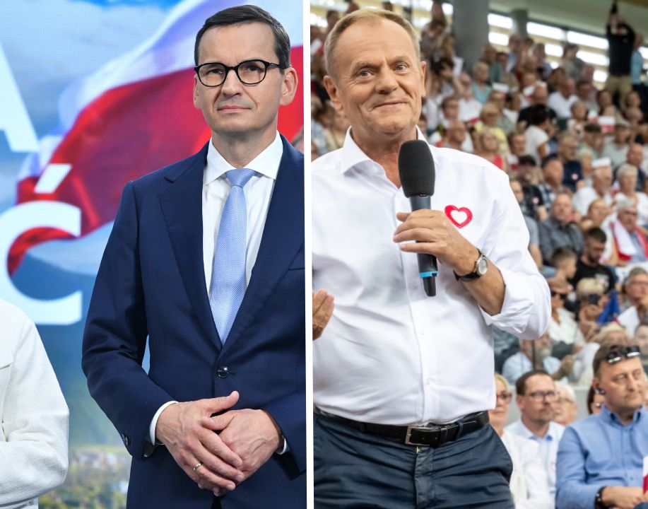 TVP zapytała o prywatyzację lasów. Wszyscy zaczęli mówić o Lotosie i Orlenie