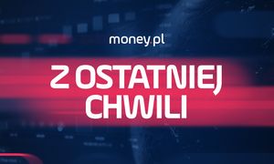 Pierwsze takie dane z giełdy w USA. Wystrzelił "indeks strachu"