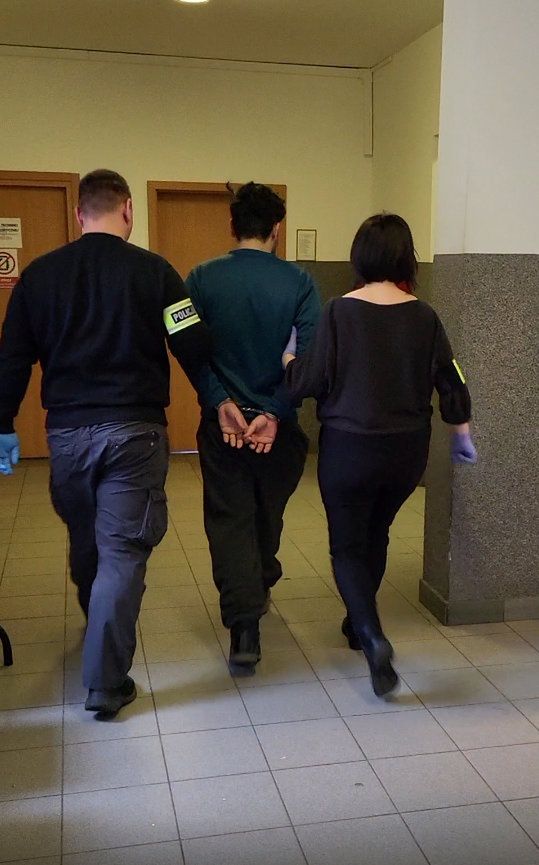 Nielegalny transport migrantów przerwany na DK10. Zatrzymano 12 osób