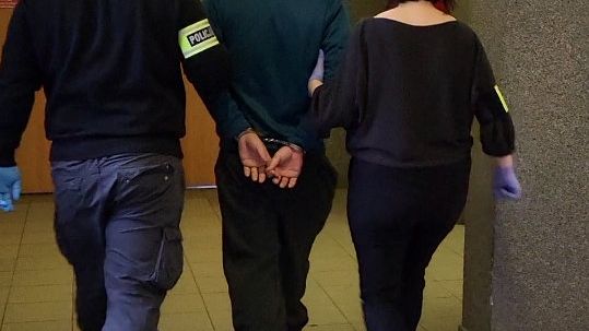 Picasa policja