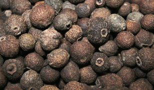 Salmonella w popularnej przyprawie. GIS ostrzega przed zatruciem