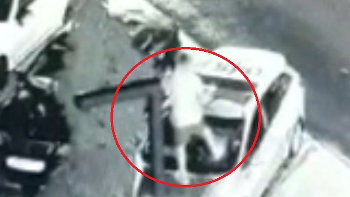 Powiedział, że bogaty tata za wszystko zapłaci.