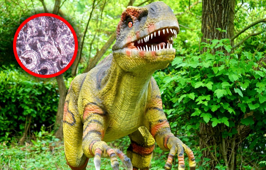 Cierpiały na specyficzną chorobę. Te dinozaury żyły w Brazylii
