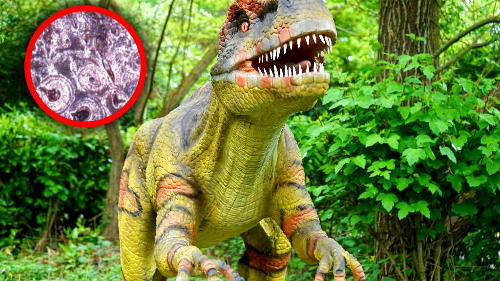 Dinozaury cierpiały na choroby kości