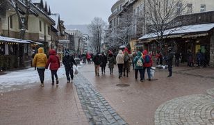 Ten problem w Zakopanem nie ustępuje. "Reagujmy, nie przechodźmy obojętnie"