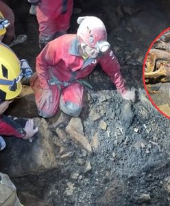 Chiny: mroczne odkrycie w największej jaskini w Azji. 52 skamieliny pandy wielkiej