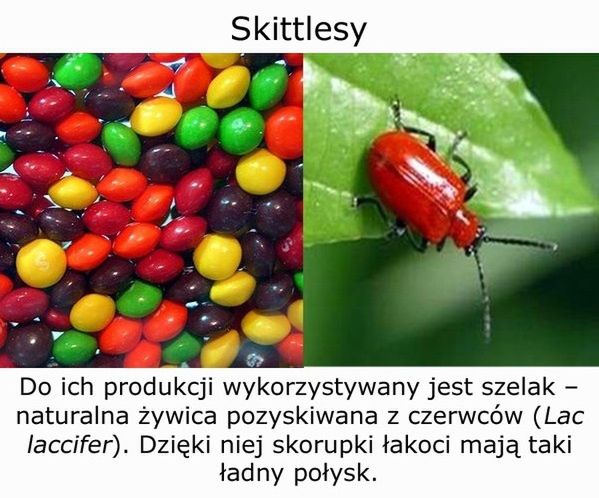 10 obrzydliwych substancji, które zjadasz na co dzień 1