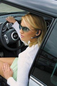 „Samice Alfa” górą! 1