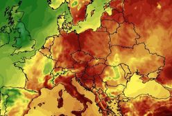 Pogoda. W słońcu nawet 45 st. C? Synoptyk IMGW wyjaśnia skąd różnice w pomiarach