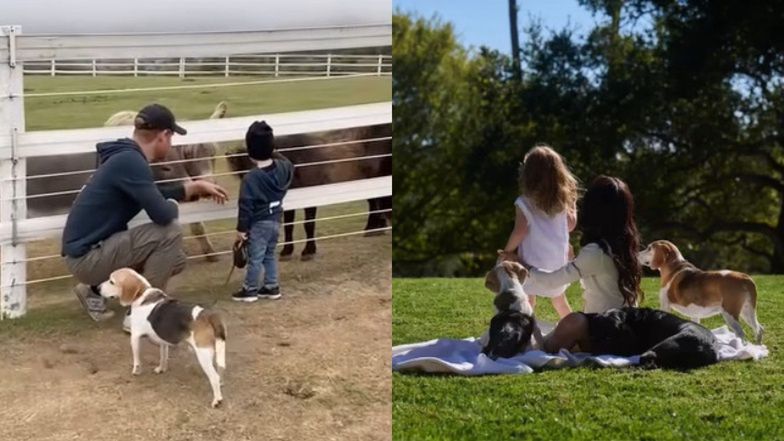 Meghan Markle podzieliła się archiwalnymi ujęciami dzieci