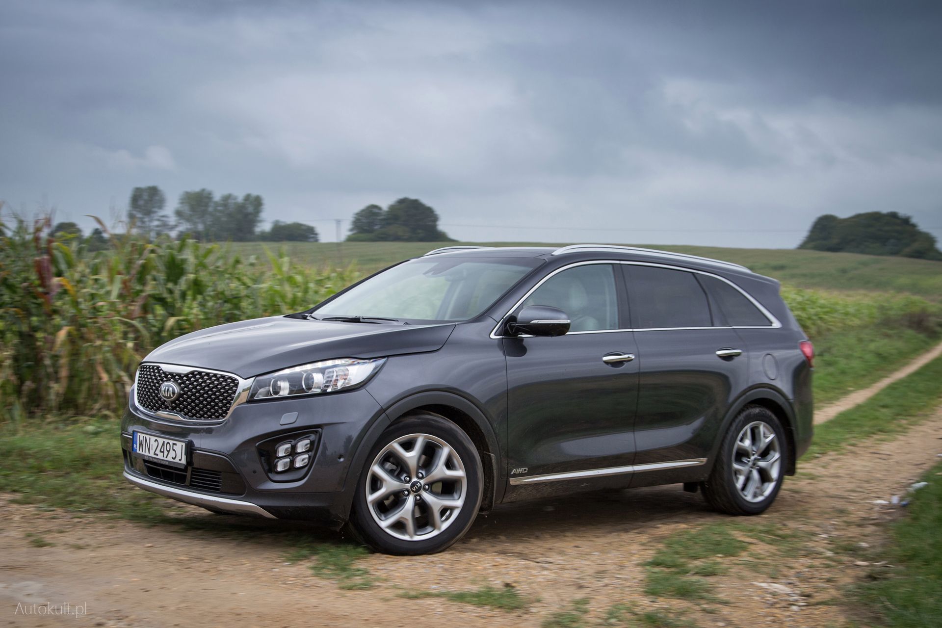 Kia Sorento 2.0 4WD AT XL (2017) (fot. Mateusz Żuchowski)