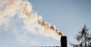 Czym palisz w piecu? Ukrycie tej informacji będzie słono kosztować