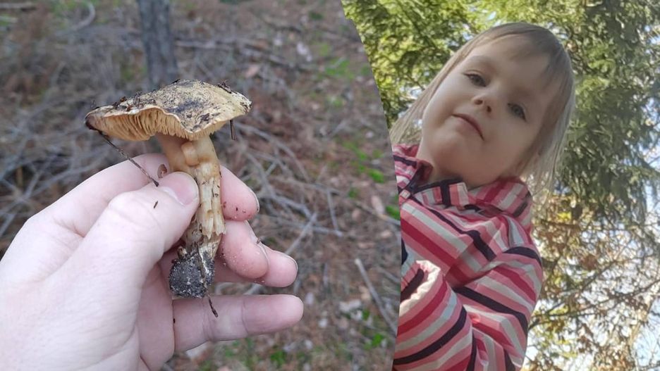 Gąska zielona znaleziona w styczniu przez 4-letnią Jagodę