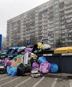 Gdzie wyrzucić styropian po telewizorze albo lodówce? Oto odpowiedź
