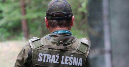 Kontrole w lasach w całym kraju. Już od 4 marca