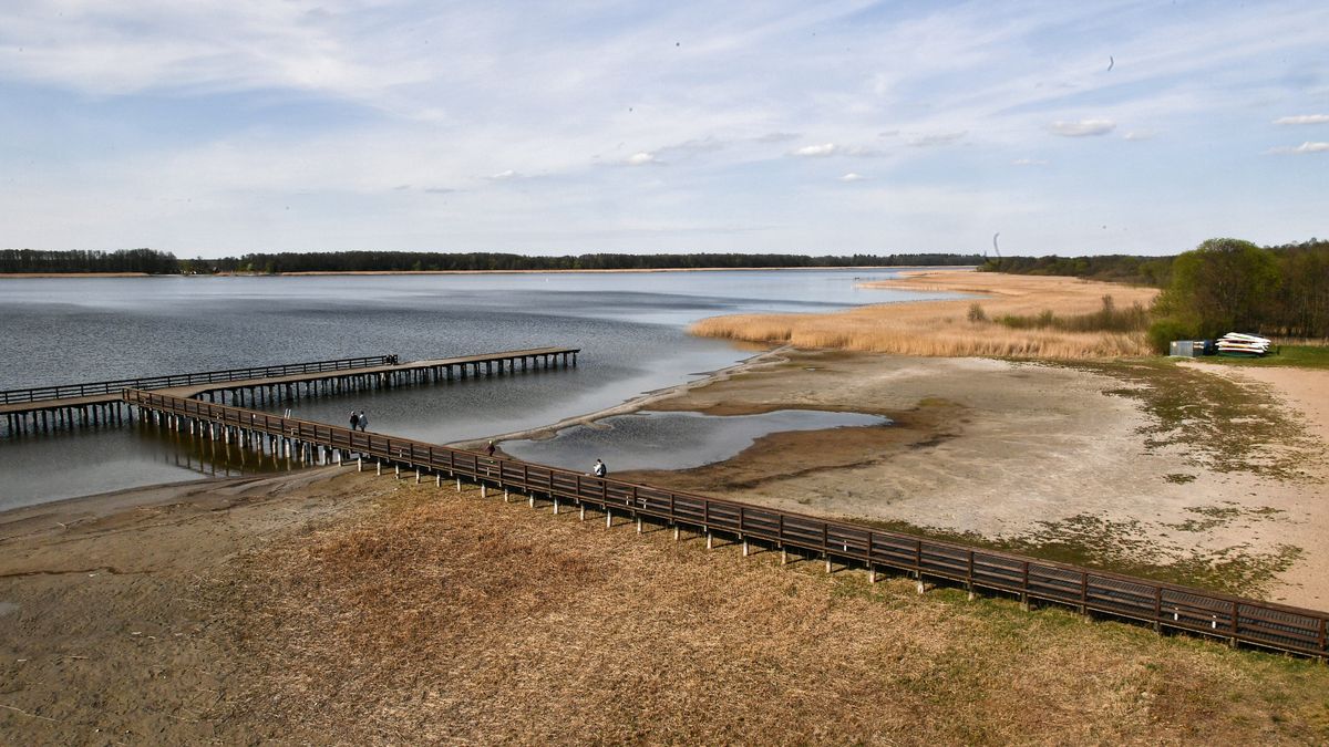 Susza w Polsce 2020. W jeziorze Roś jest coraz mniej wody