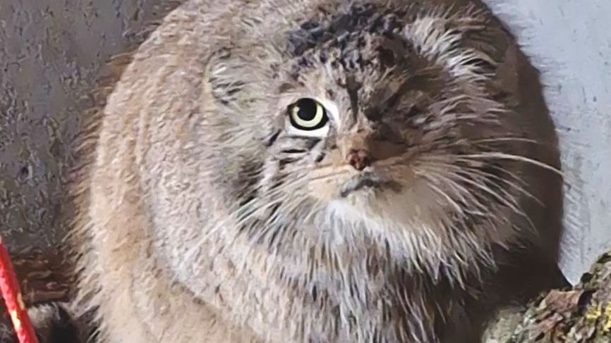 Bożenka została szczęśliwie odnaleziona 