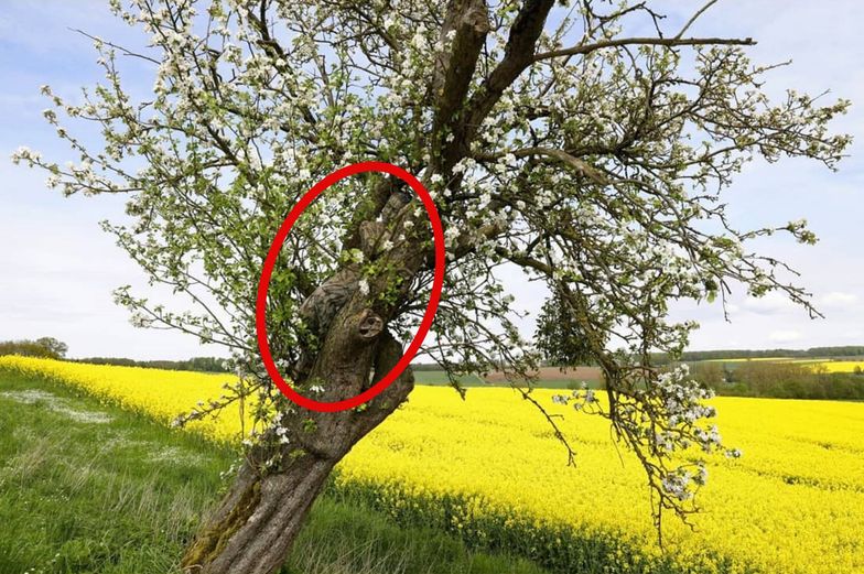 Na fotografii je nahá žena.  Málokdo to bude moci vidět