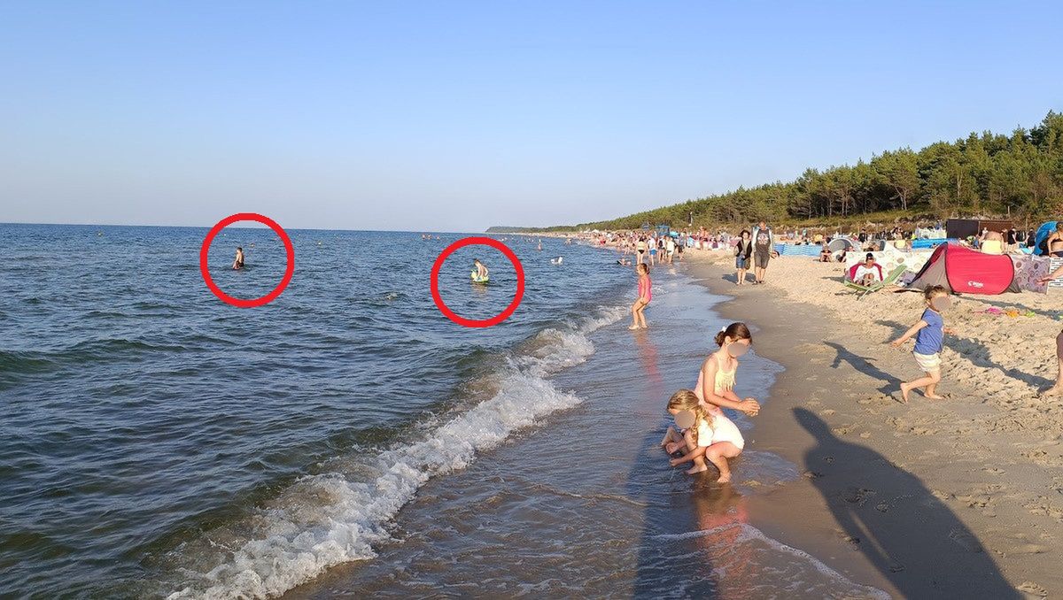 Plaga na polskich plażach. "Są na wakacjach, wszystko im wolno"