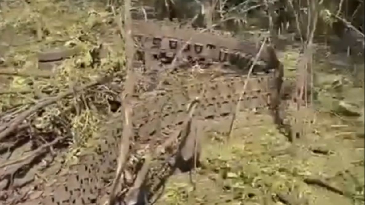 Po ataku "Baby Jagi" z rosyjskiego pojazdu zostały tylko strzępy 