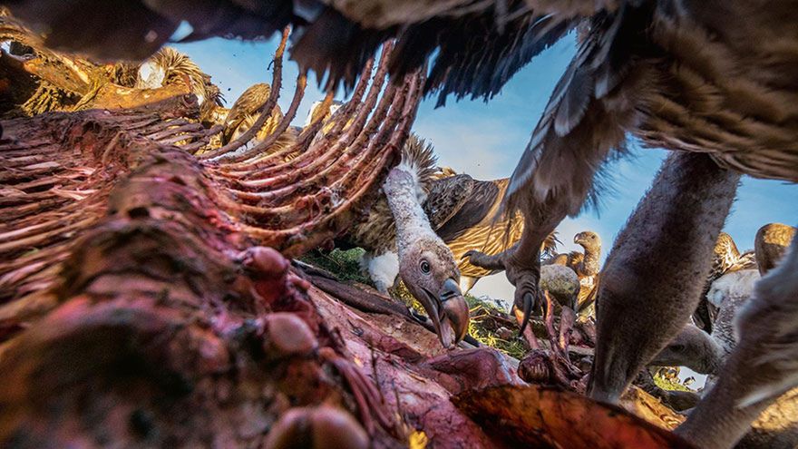 Oto najlepsze fotografie 2016 roku według magazynu National Geographic 23