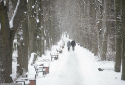 Pogoda długoterminowa. Ekspert z IMGW o nadchodzącej zimie