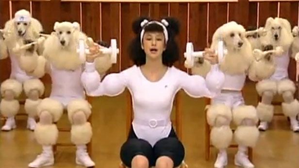 WTF dnia: gigantyczne pudle i kobieta ćwiczą razem [wideo] 1