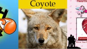 Pięć najdziwniejszych programów dla Symbiana 1