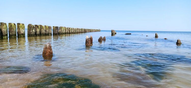 Nad polskim morzem każdy znajdzie coś dla siebie - i do jedzenia i do odwiedzenia