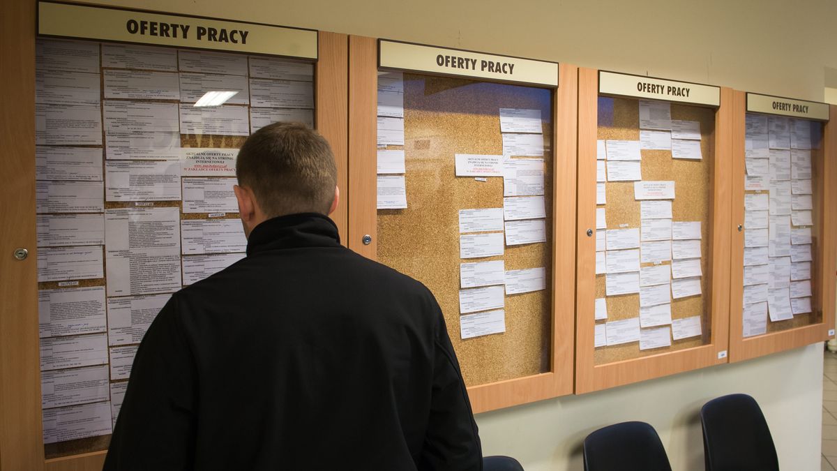 Urz�d Pracy
Bydgoszcz, 02.01.2014. Powiatowy Urz�d Pracy w Bydgoszczy. (t�/awol) PAP/Tytus �mijewski
Tytus �mijewski
aktywizacja zawodowa, bezrobocie, bezrobotny, Centrum Aktywizacji Zawodowej, oferty pracy, og�oszenia o prac�, Powiatowy Urz�d Pracy w Bydgoszczy, praca, PUP, rejestracja bezrobotnych, zatrudnienie, gablota, oferta, og�oszenia, og�oszenie, ilustracja