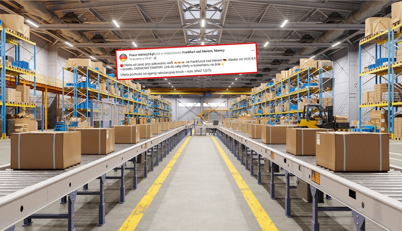 Niemcy dają mieszkanie. I jeszcze ta stawka. Polacy aż się rzucili