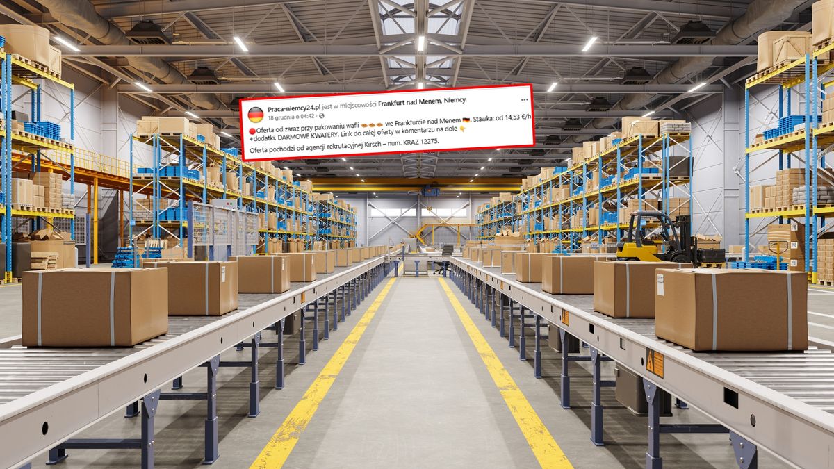 Niemcy dają pracę. Polacy reagują.