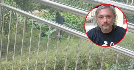 Koszą nawet teraz. "Marnowanie pieniędzy i wysiłku"
