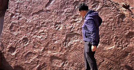 Sensacja archeologiczna w Chinach. Rzadkie odkrycie badaczy