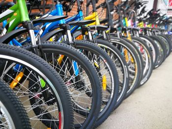 Stalowa Wola: Dużo wypożyczeń rowerów miejskich. Zobacz statystyki
