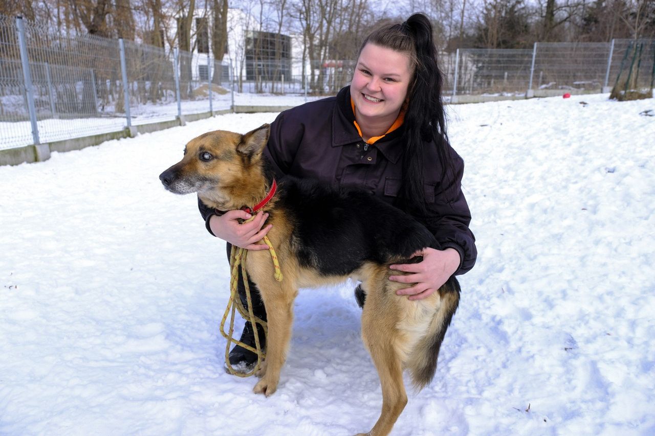 Schronisko dla Bezdomnych Zwierząt w Toruniu dostało się do akcji Nakarm PSA z OLX!
