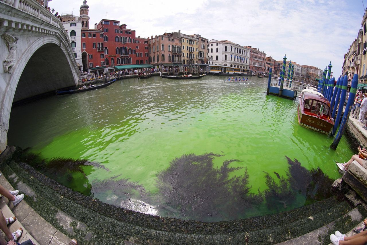 Odblaskowa zielona plama na Canal Grande w Wenecji. "Zdecydowane przegięcie"
