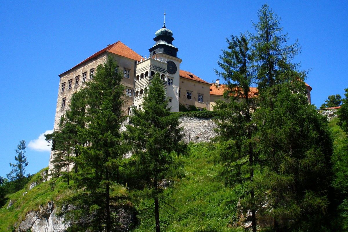Obraz