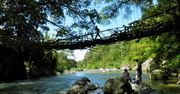 Indonezja - żyjący most Jembatan Akar
