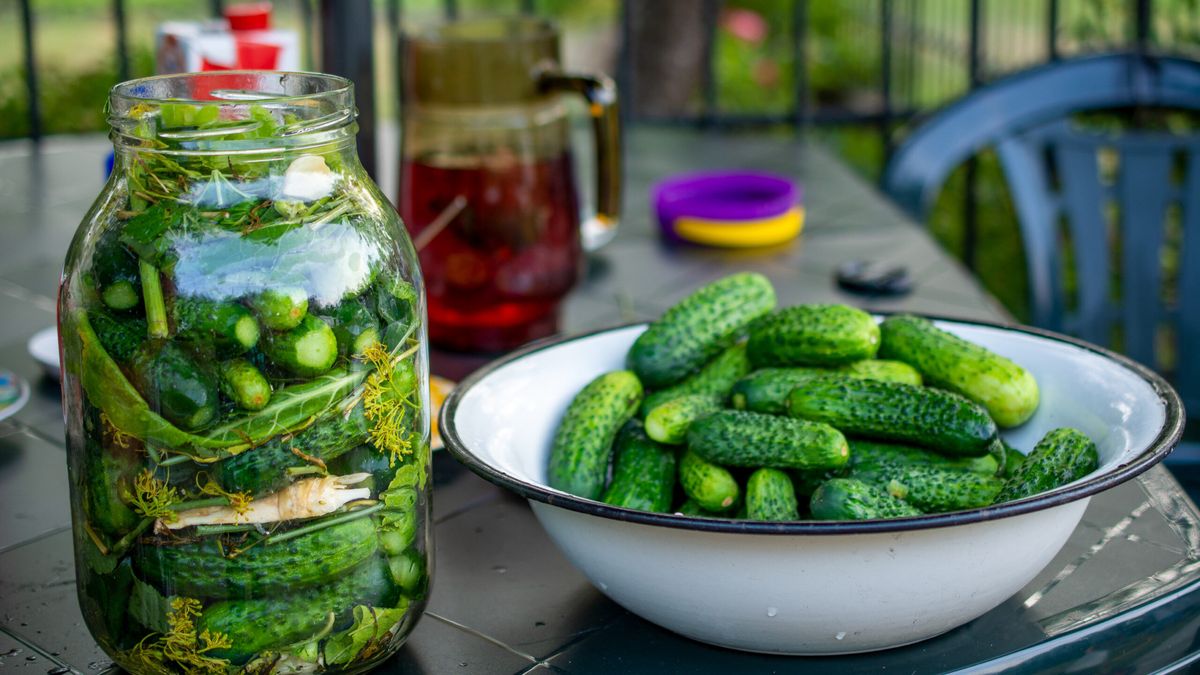Ogórki małosolne. Fot. AdobeStock